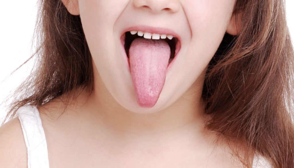 スクリーンショット 2026-01-28 14.50.55